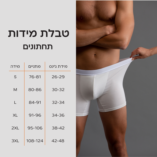 בריפס